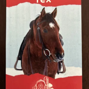 Tex Deck Card Game