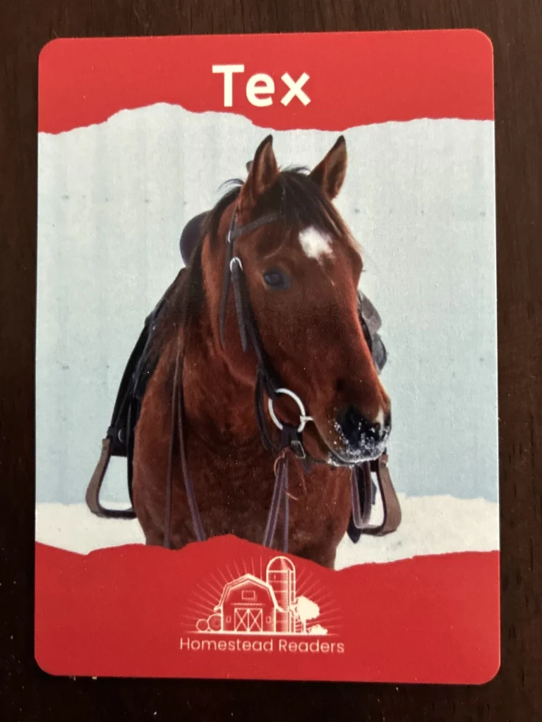 Tex Deck Card Game